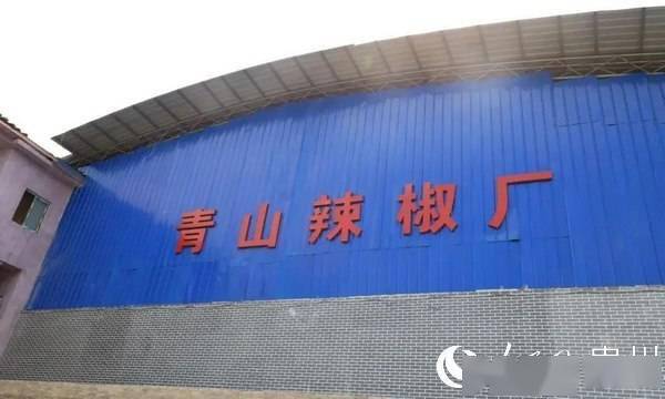 金海湖新區規劃建設辣椒加工廠，延長產業收益鏈